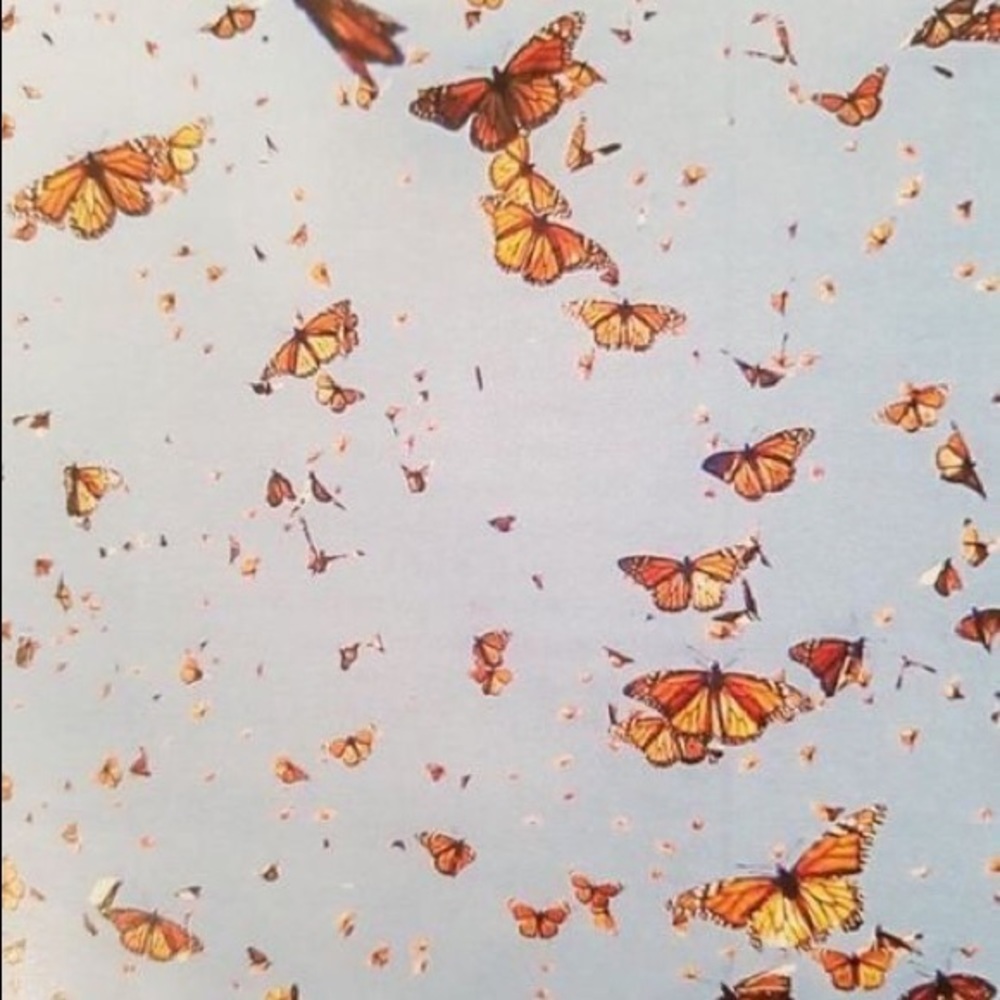 Meet your Posher, July